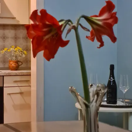 Apartments Bresan Trogir Room photo