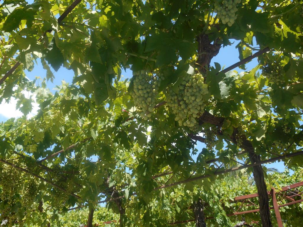 Bresan * Trogir